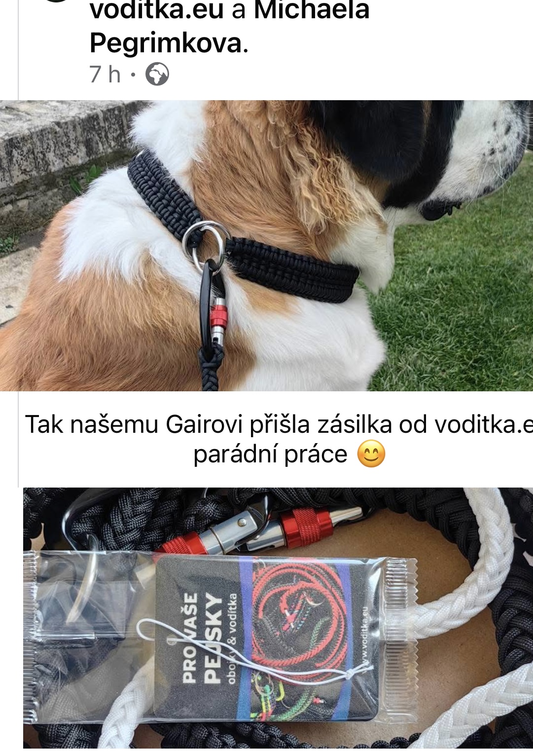43_MSP_ černé