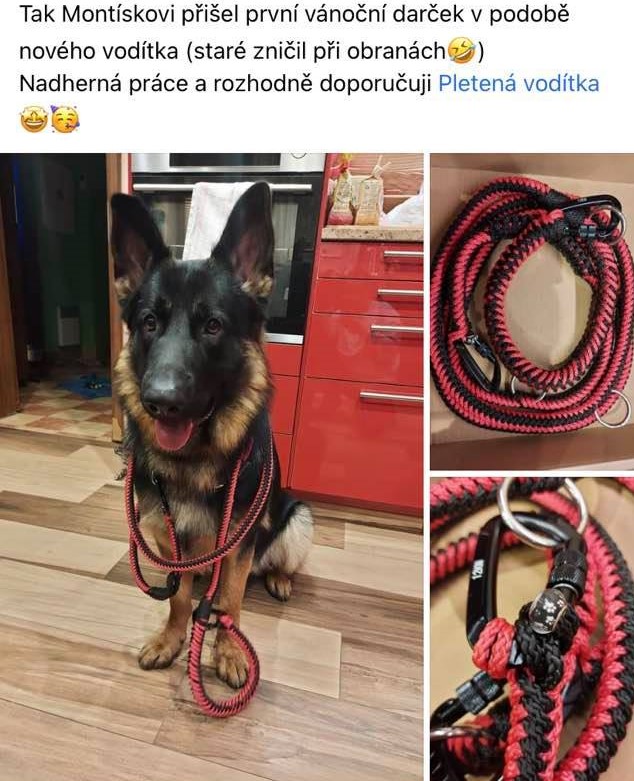 45_vlčák_ červeno-černé
