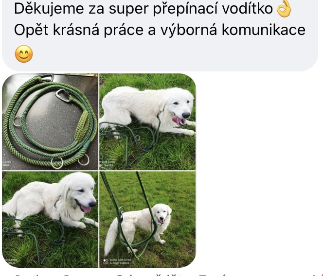 46_sao_hadí-zelené
