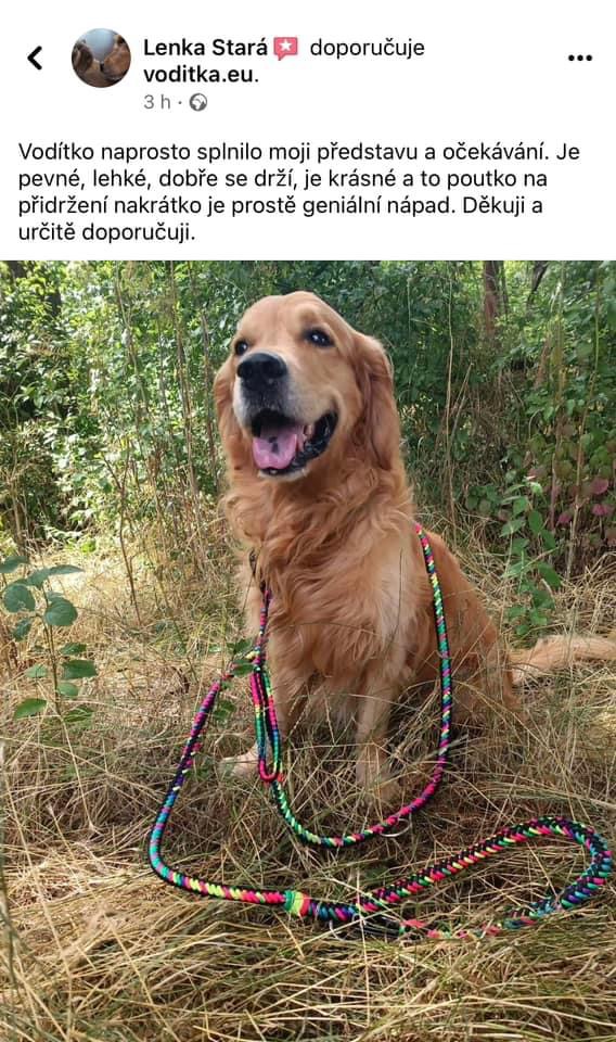 61_retvrívr_lentilka