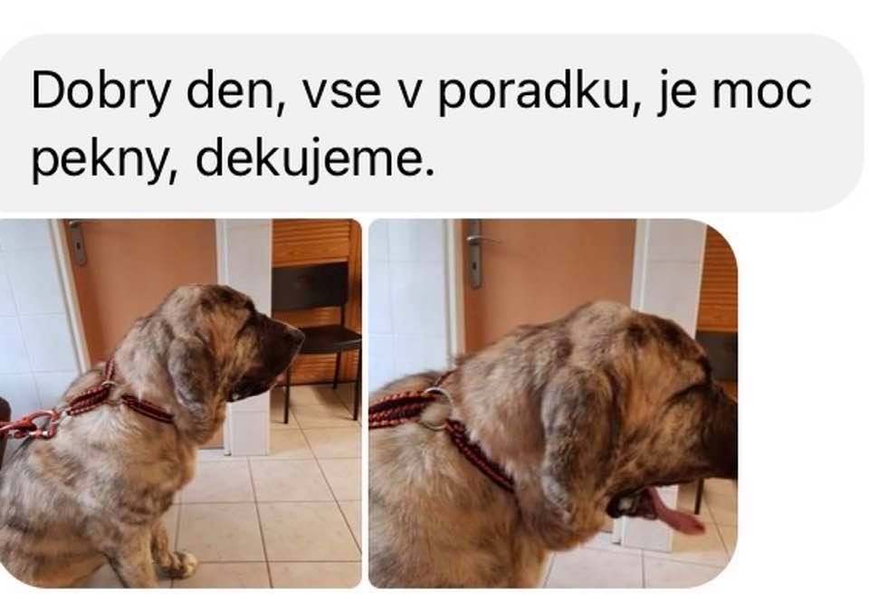64_kao_červeno-černé