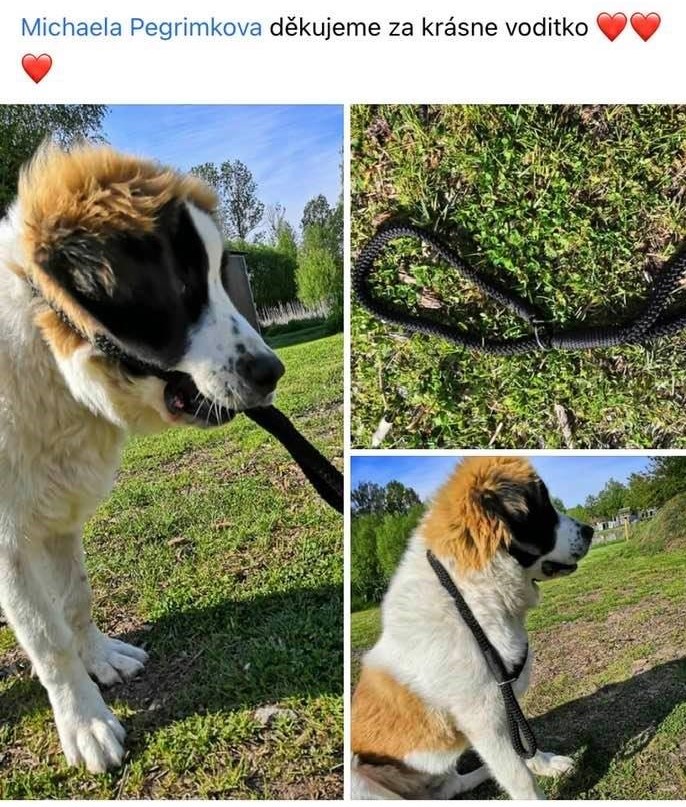 65_msp_štěnda