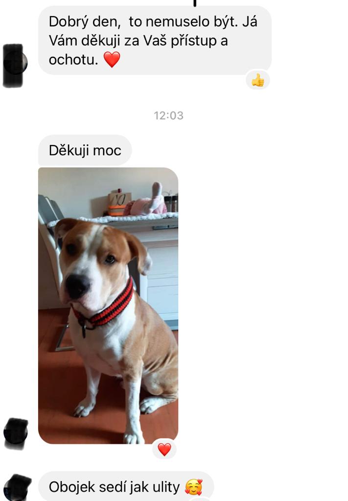 67_staford_obojek