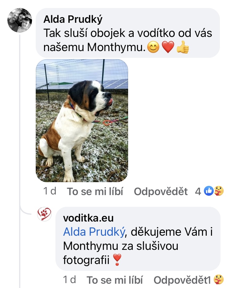 68_msp_lentilka