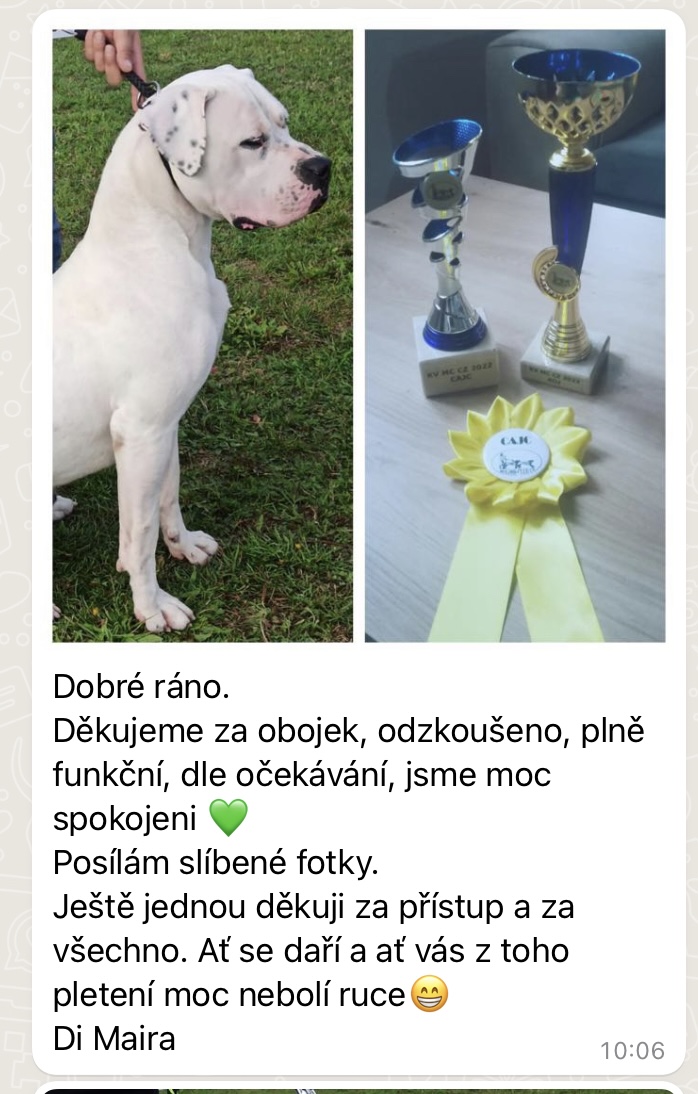 69_bílý-výstavní