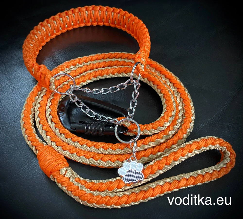 Startovací set (obojek+vodítko)_oranžovo-zlaté
