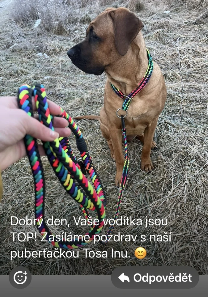 Pletené přepínací vodítko_lentilky, včetně 2 ks horolezeckých karabin 2,5t s pojistkou